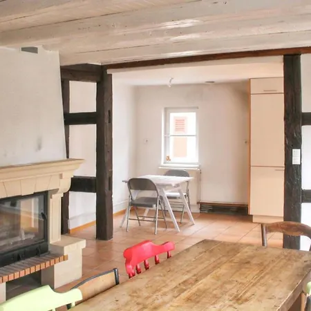 Cosy Avec Cheminee A 110m² Terrasse * Eguisheim