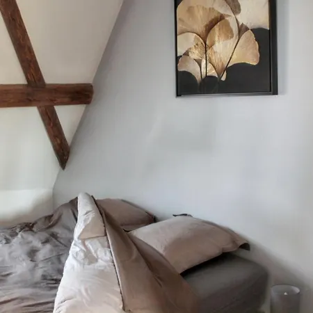 Apartment Cosy Avec Cheminee A 110m² Terrasse