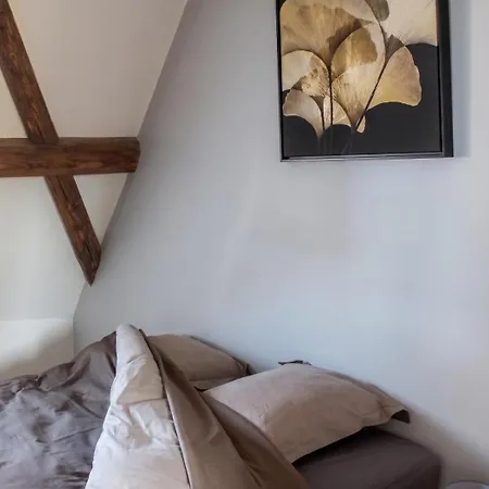 Lejlighed Cosy Avec Cheminee A - 110m² - Terrasse Eguisheim