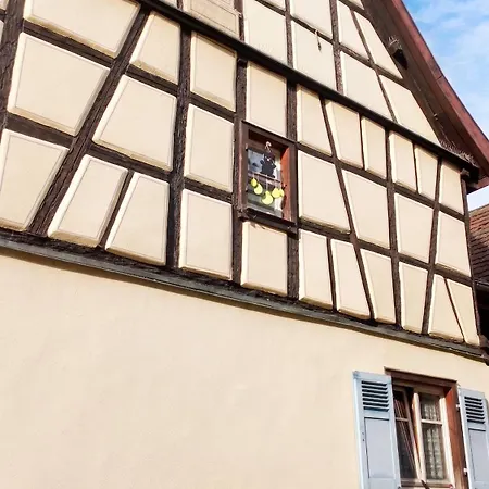 Cosy Avec Cheminee A - 110m² - Terrasse Eguisheim